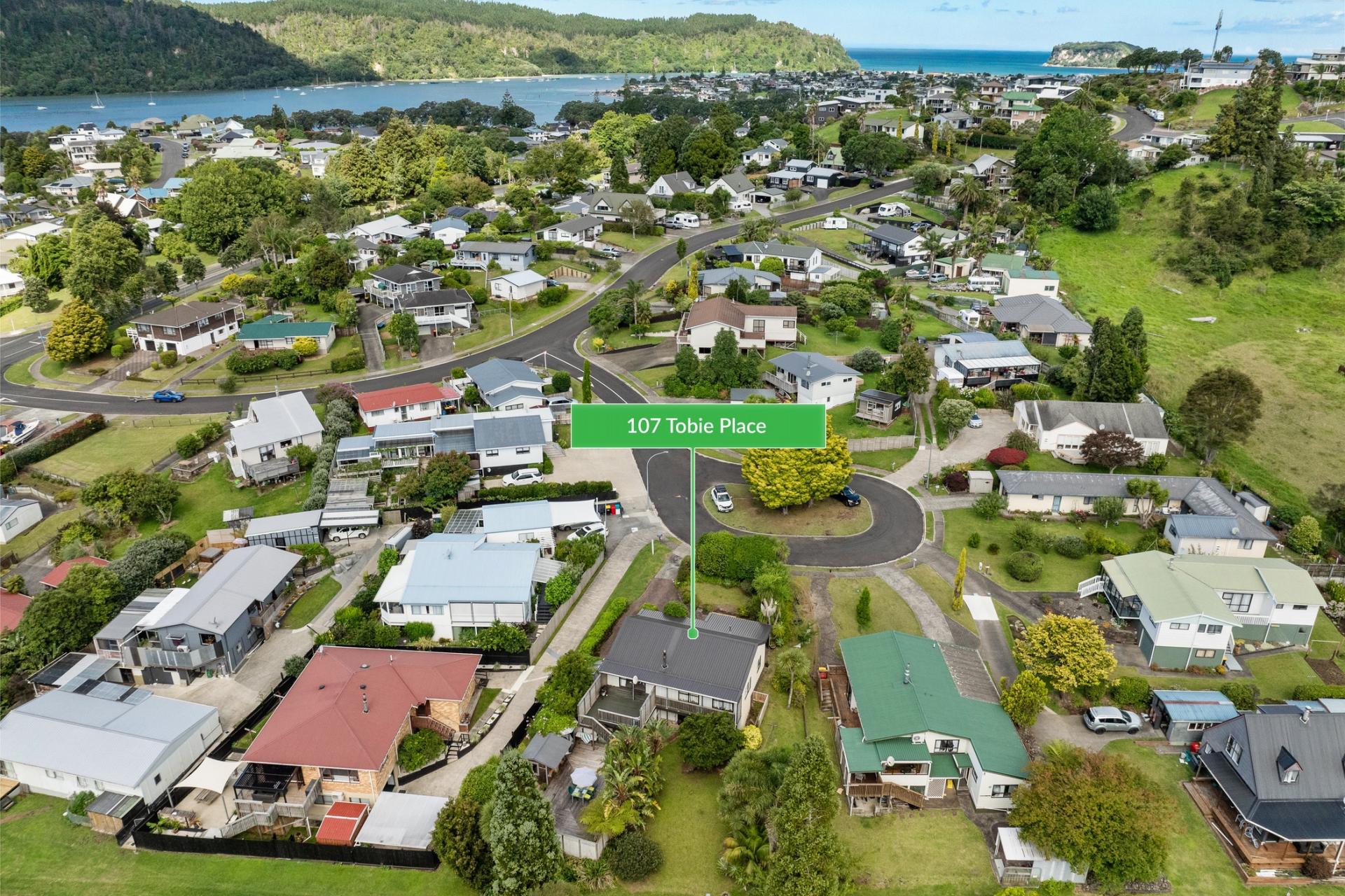 107 Tobie Place, Whangamata