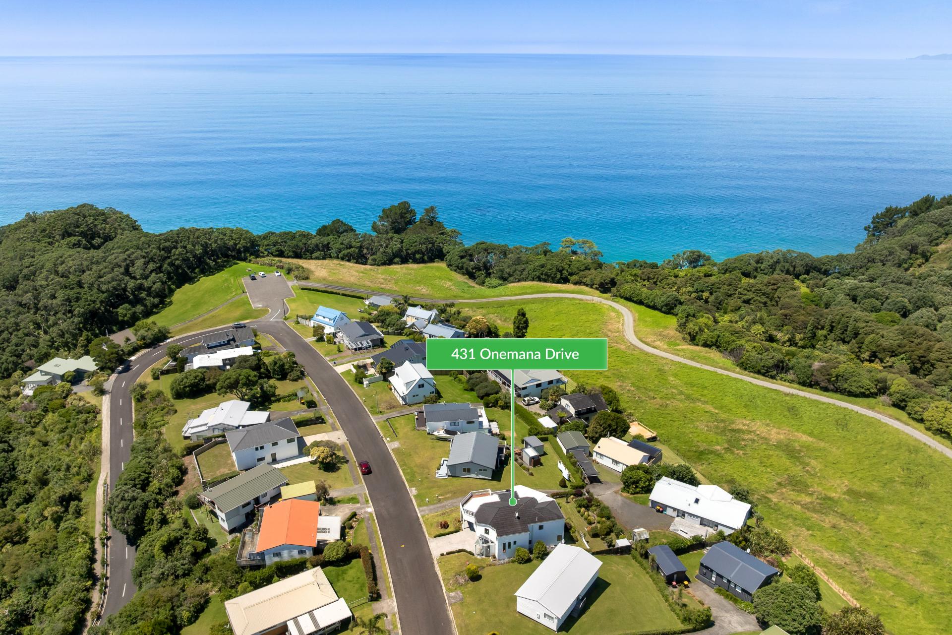 431 Onemana Drive, Onemana