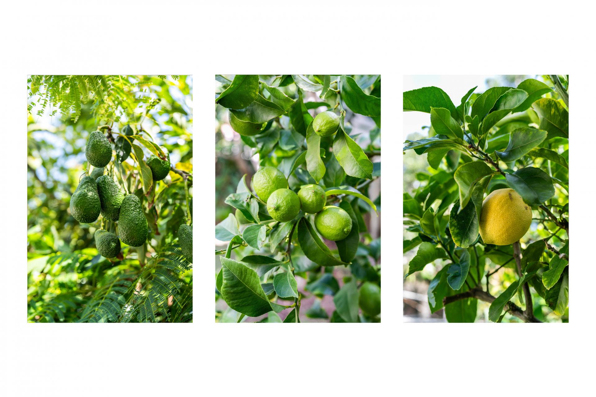 230B Rangi Avenue, Whangamata