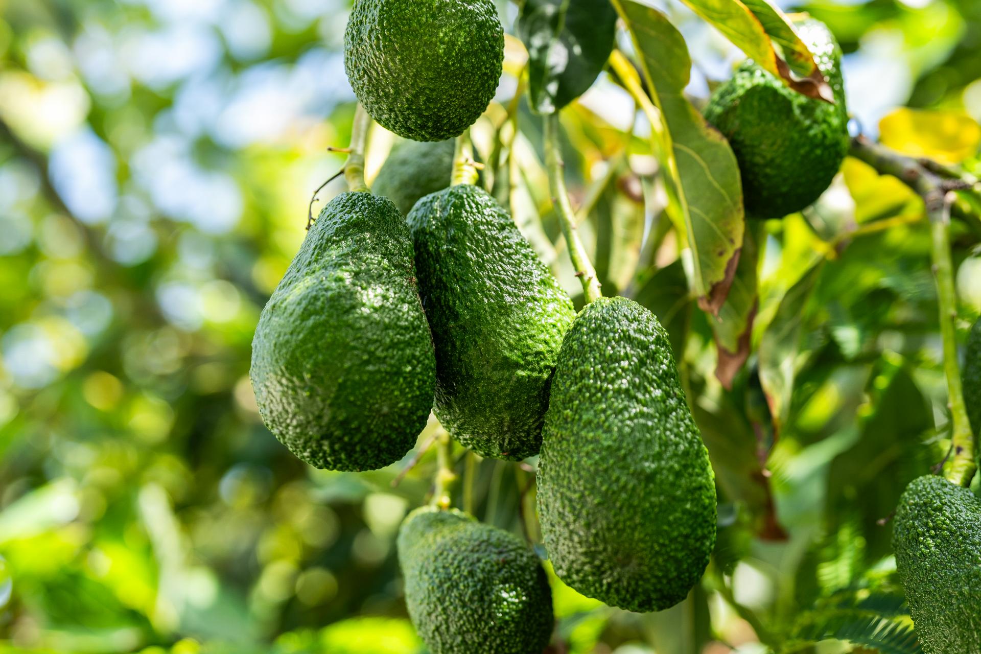 230B Rangi Avenue, Whangamata