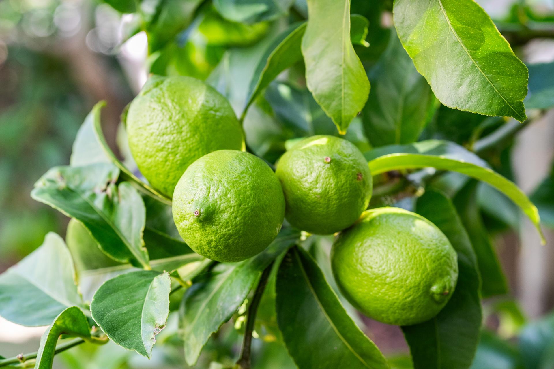 230B Rangi Avenue, Whangamata