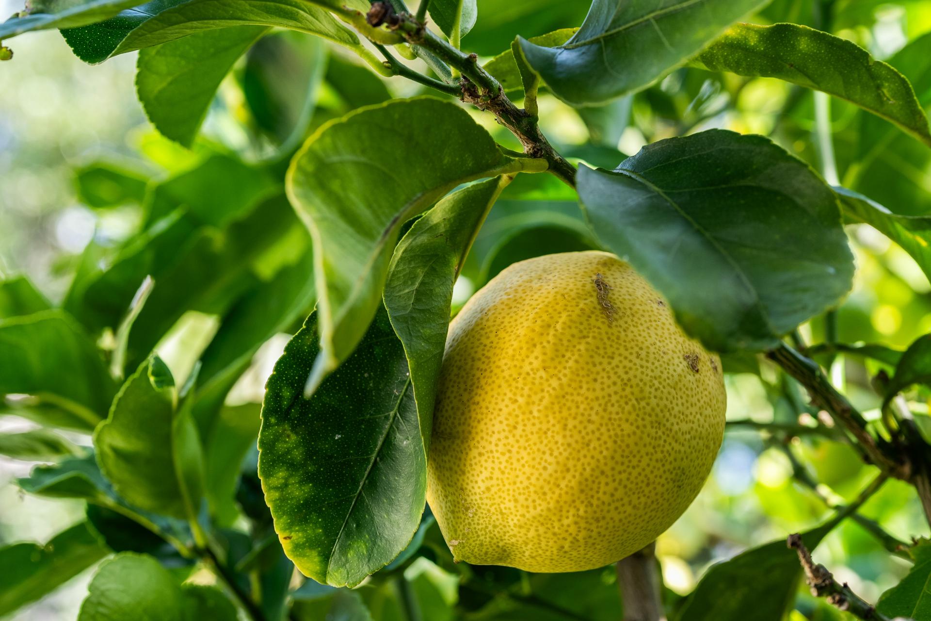 230B Rangi Avenue, Whangamata