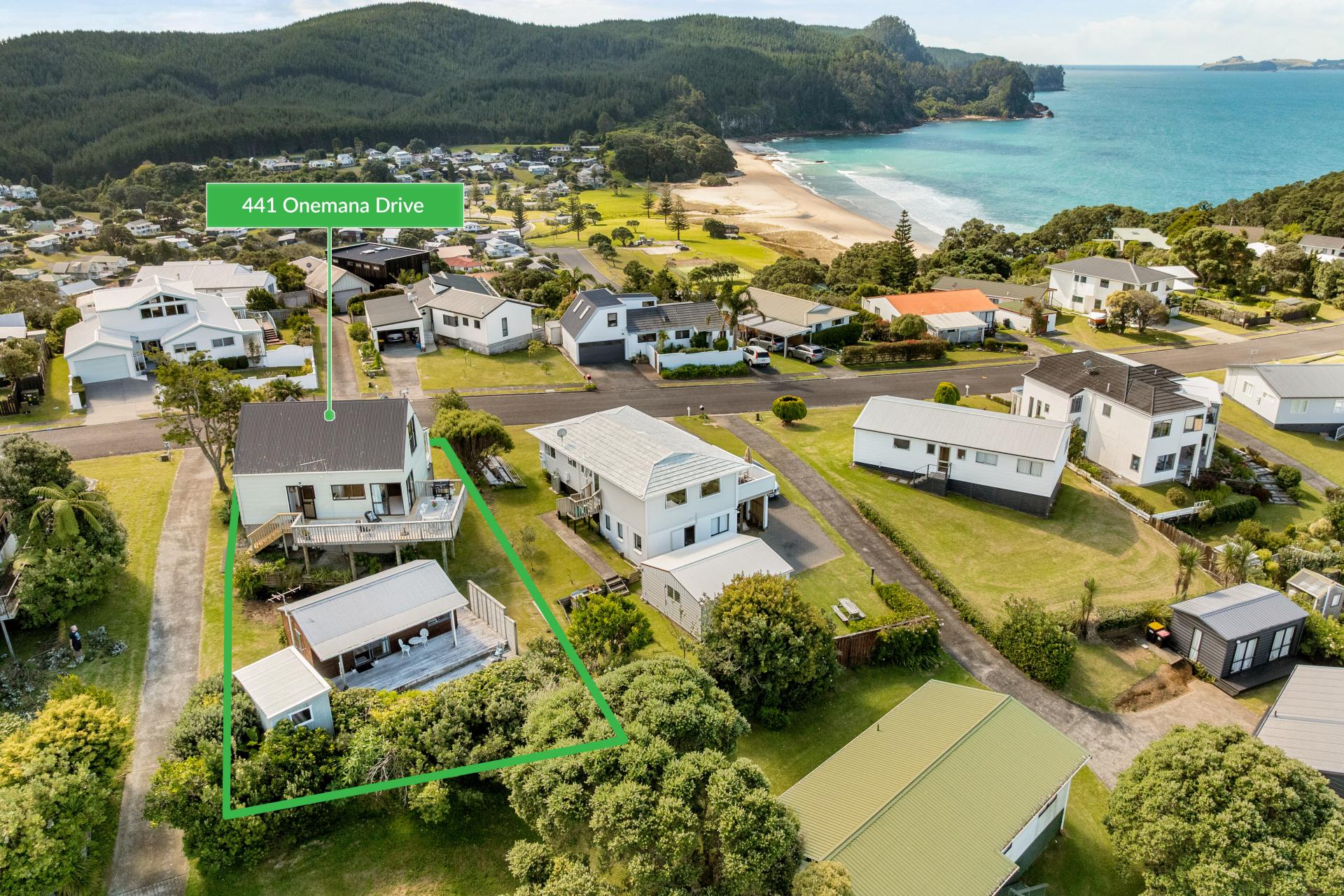 441 Onemana Drive, Onemana