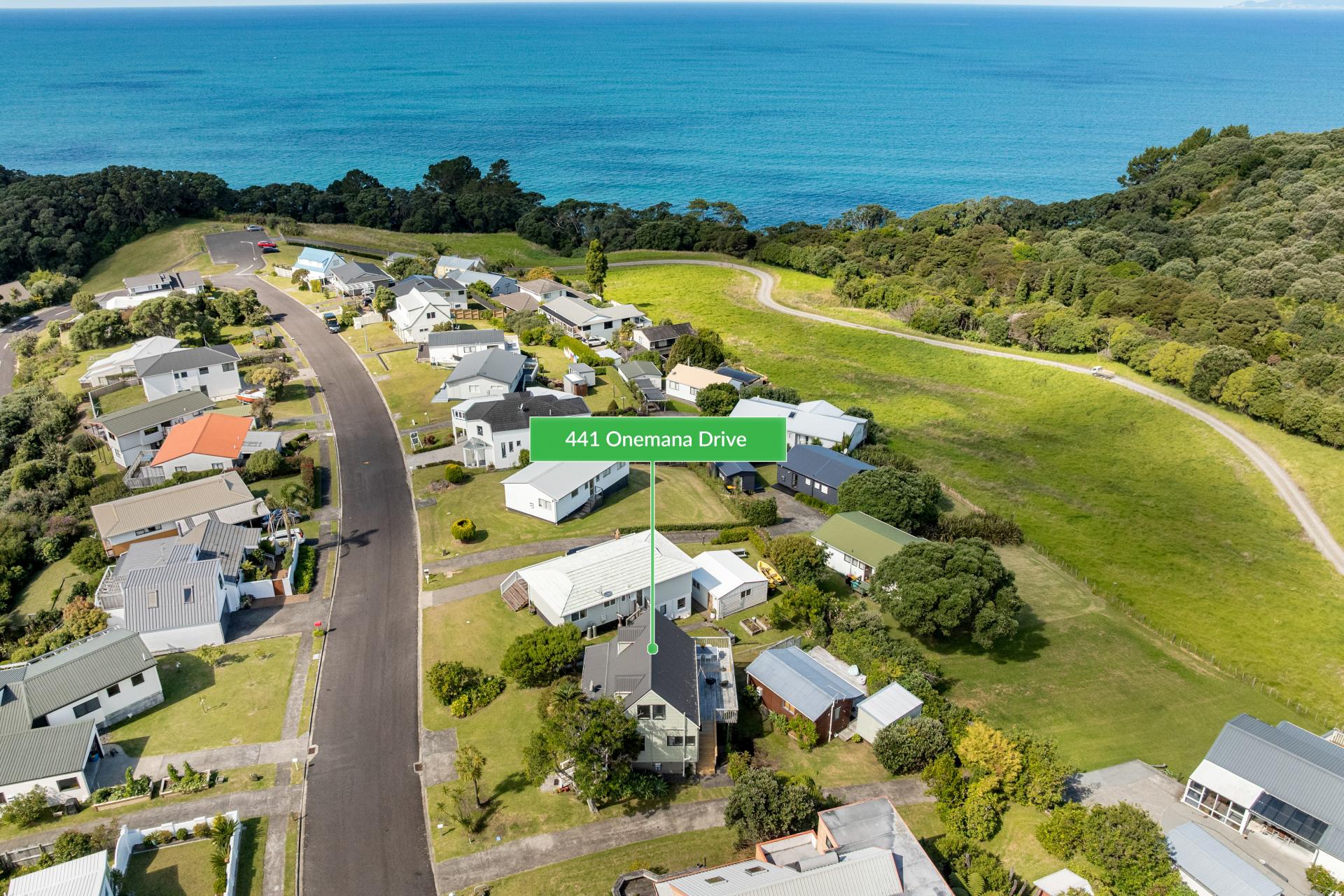 441 Onemana Drive, Onemana