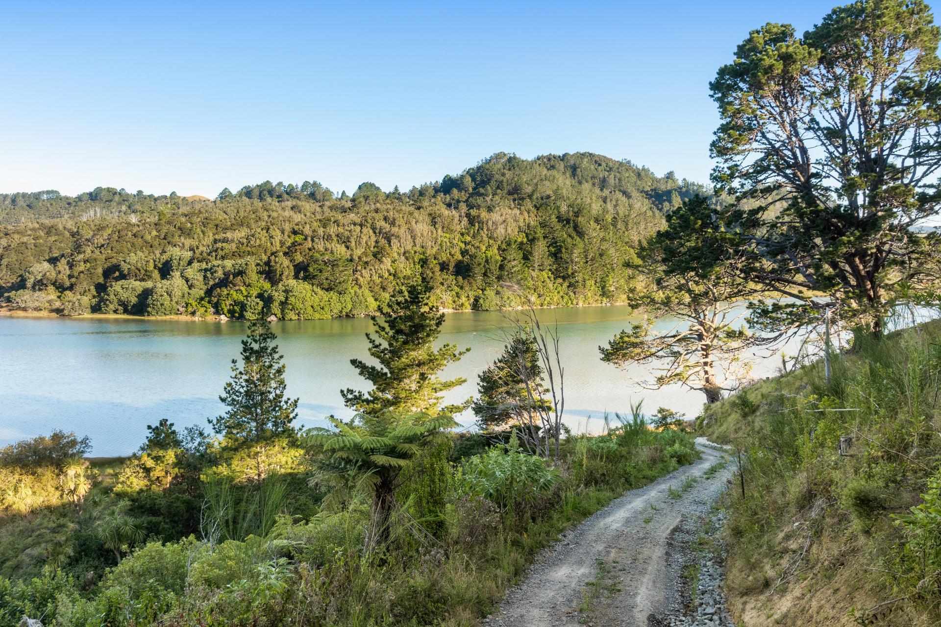 Lots 4,6,7 / , 409 The Drive, Whangamata