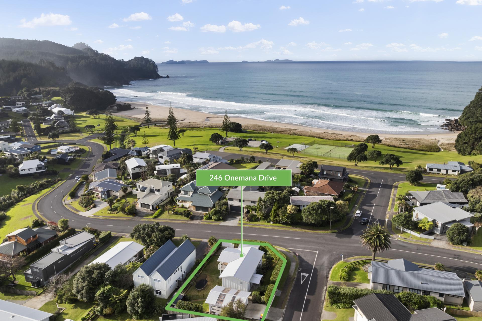246 Onemana Drive, Onemana